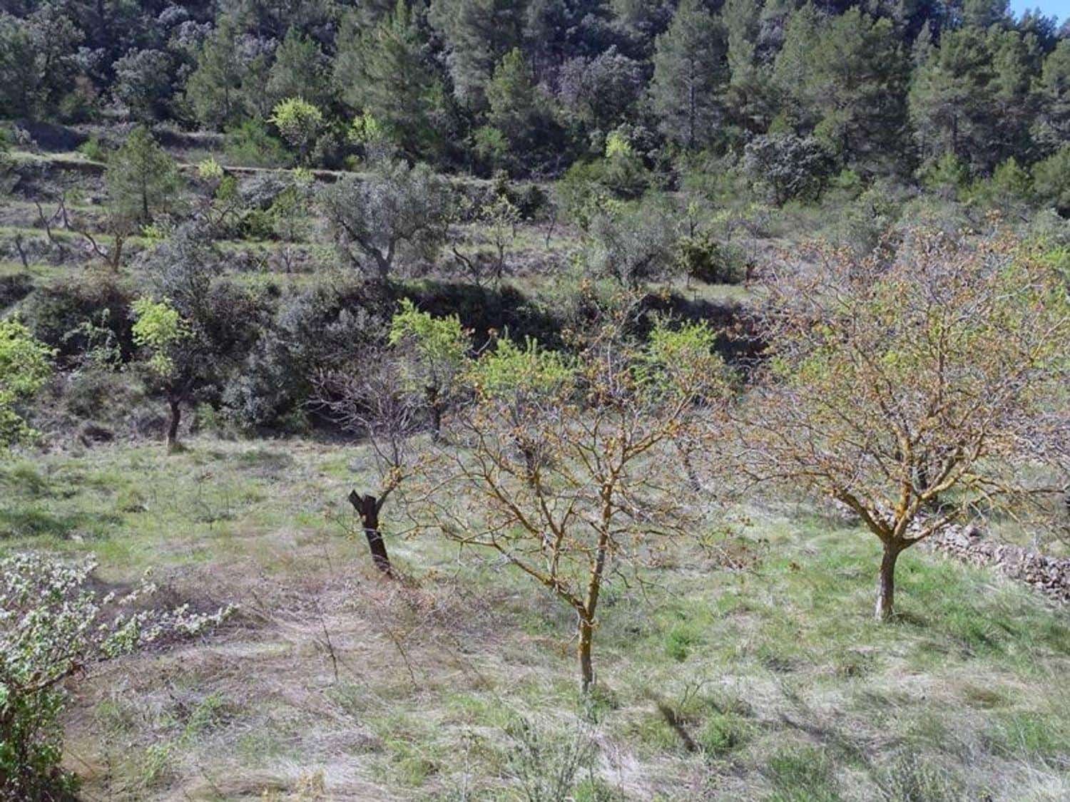 1 bedroom Finca/Country House for sale in Beceite - € 35,000 (Ref: 10124626)