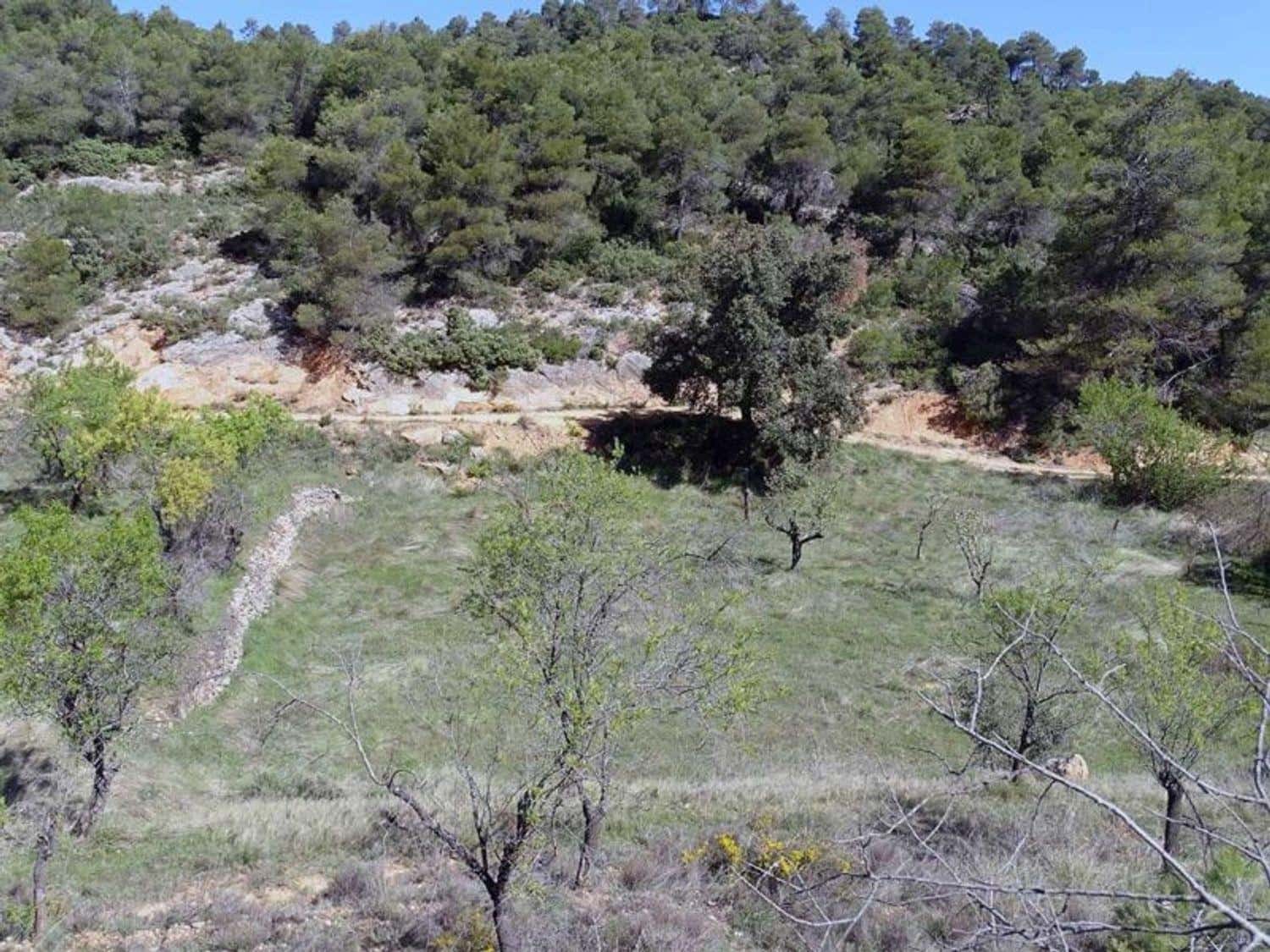 1 bedroom Finca/Country House for sale in Beceite - € 35,000 (Ref: 10124626)
