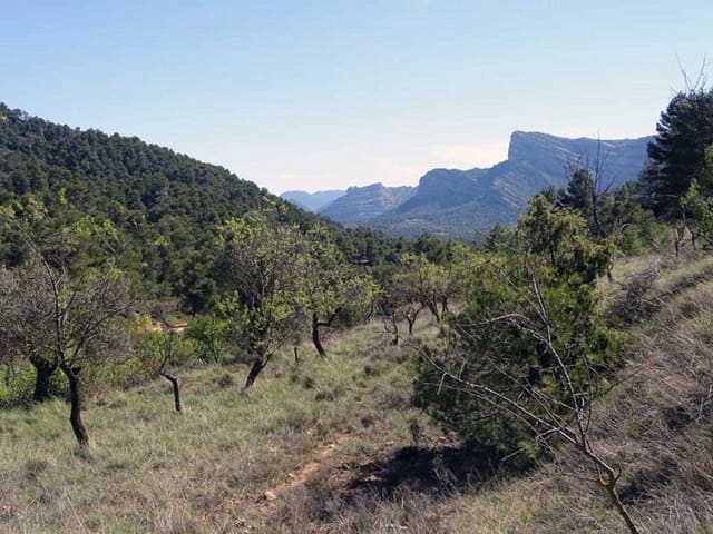 1 quarto Quinta/Casa Rural para venda em Beceite - 35 000 € (Ref: 10124626)