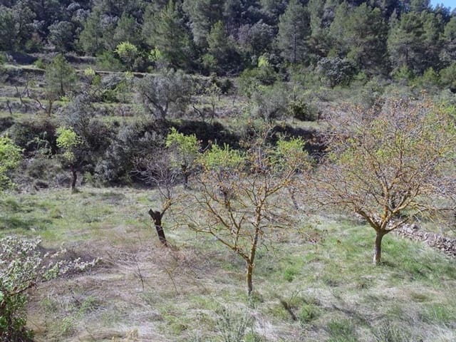 1 quarto Quinta/Casa Rural para venda em Beceite - 35 000 € (Ref: 10124626)