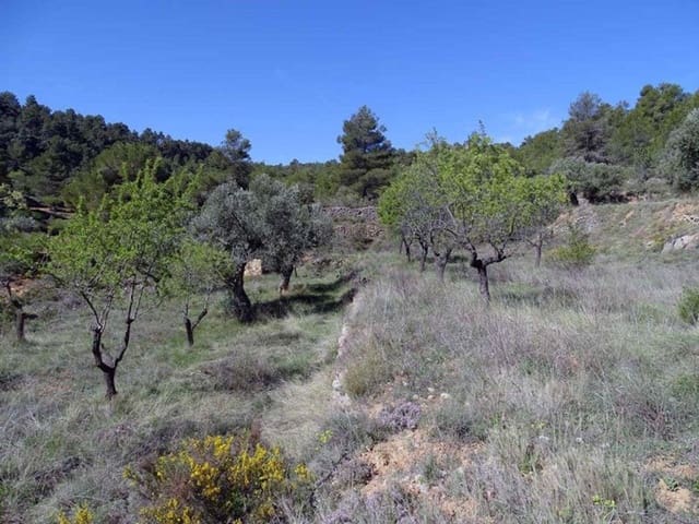 1 quarto Quinta/Casa Rural para venda em Beceite - 35 000 € (Ref: 10124626)