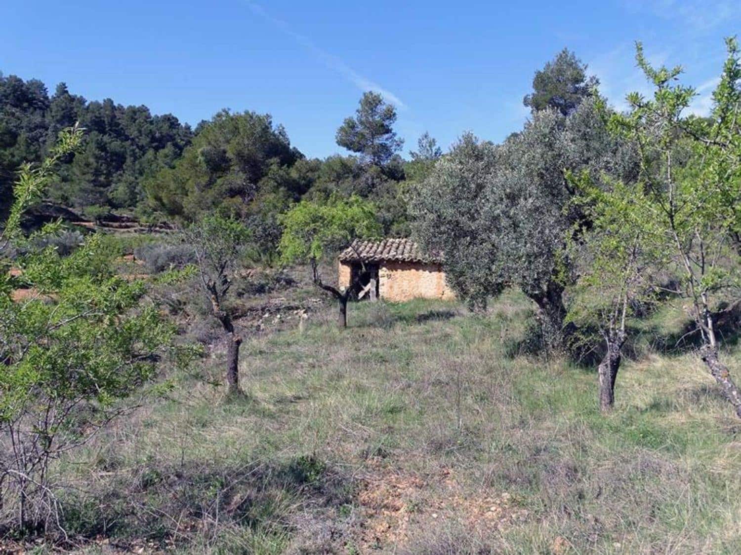 1 bedroom Finca/Country House for sale in Beceite - € 35,000 (Ref: 10124626)
