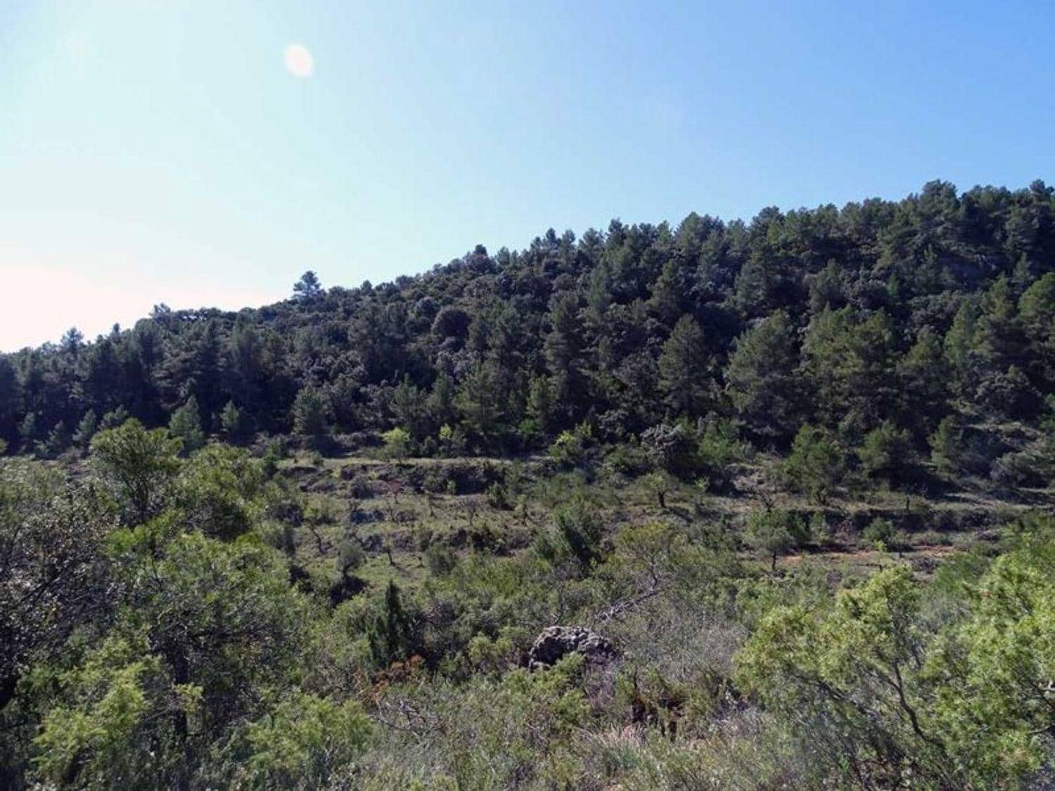 1 bedroom Finca/Country House for sale in Beceite - € 35,000 (Ref: 10124626)