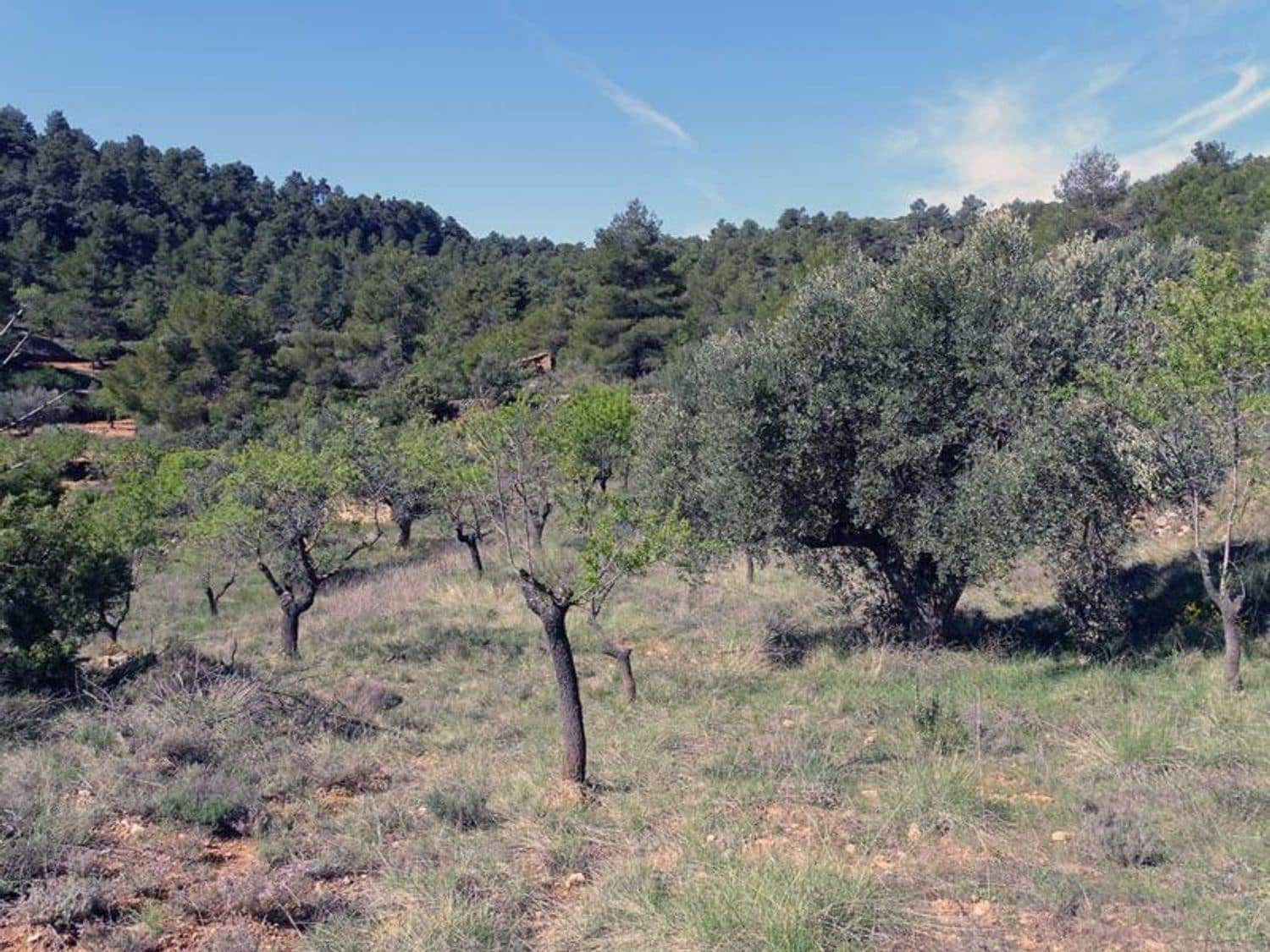 1 bedroom Finca/Country House for sale in Beceite - € 35,000 (Ref: 10124626)