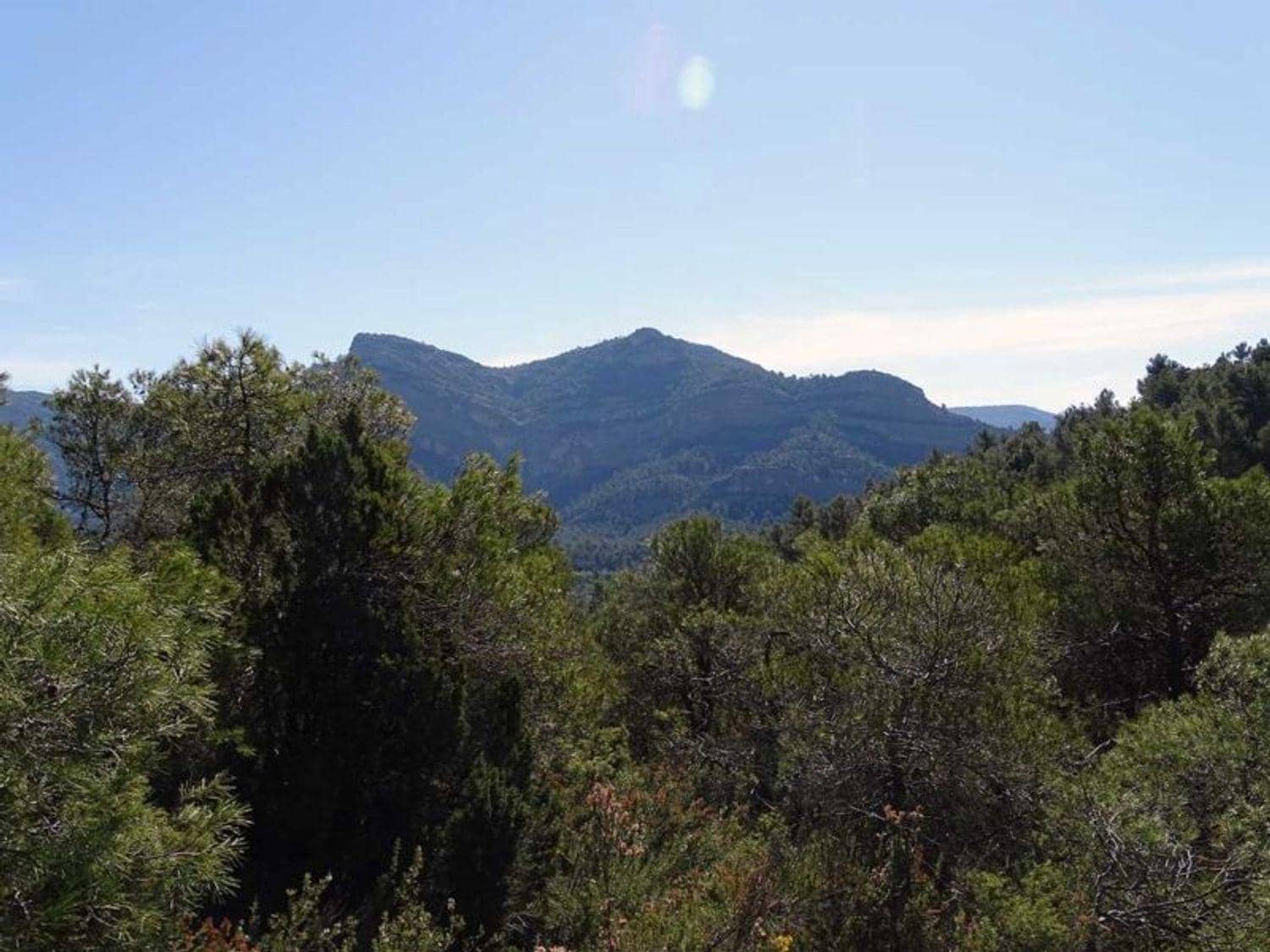 1 bedroom Finca/Country House for sale in Beceite - € 35,000 (Ref: 10124626)