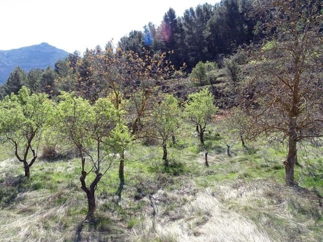 1 quarto Quinta/Casa Rural para venda em Beceite - 35 000 € (Ref: 10124626)