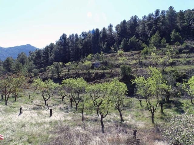 1 quarto Quinta/Casa Rural para venda em Beceite - 35 000 € (Ref: 10124626)