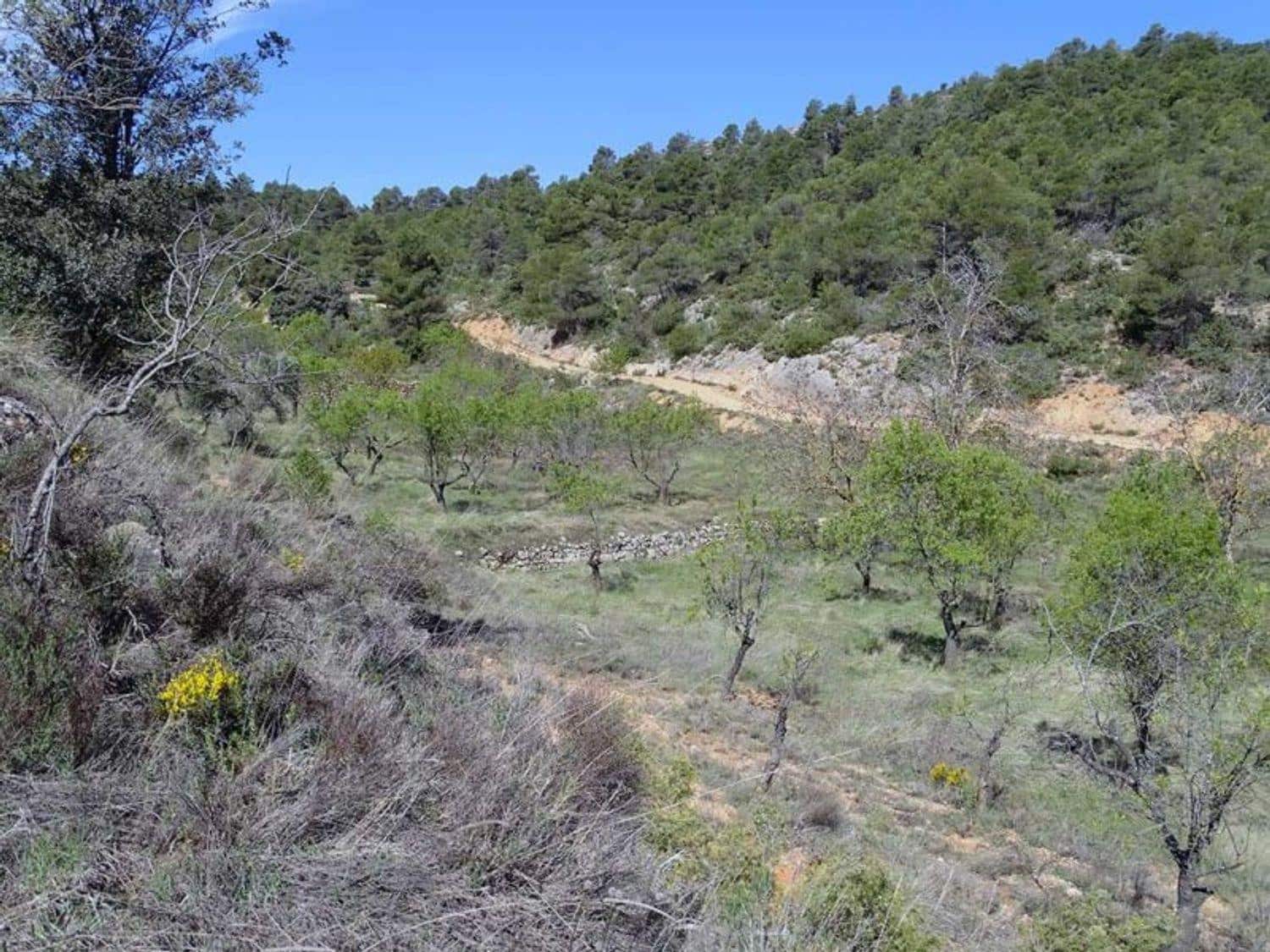 1 bedroom Finca/Country House for sale in Beceite - € 35,000 (Ref: 10124626)