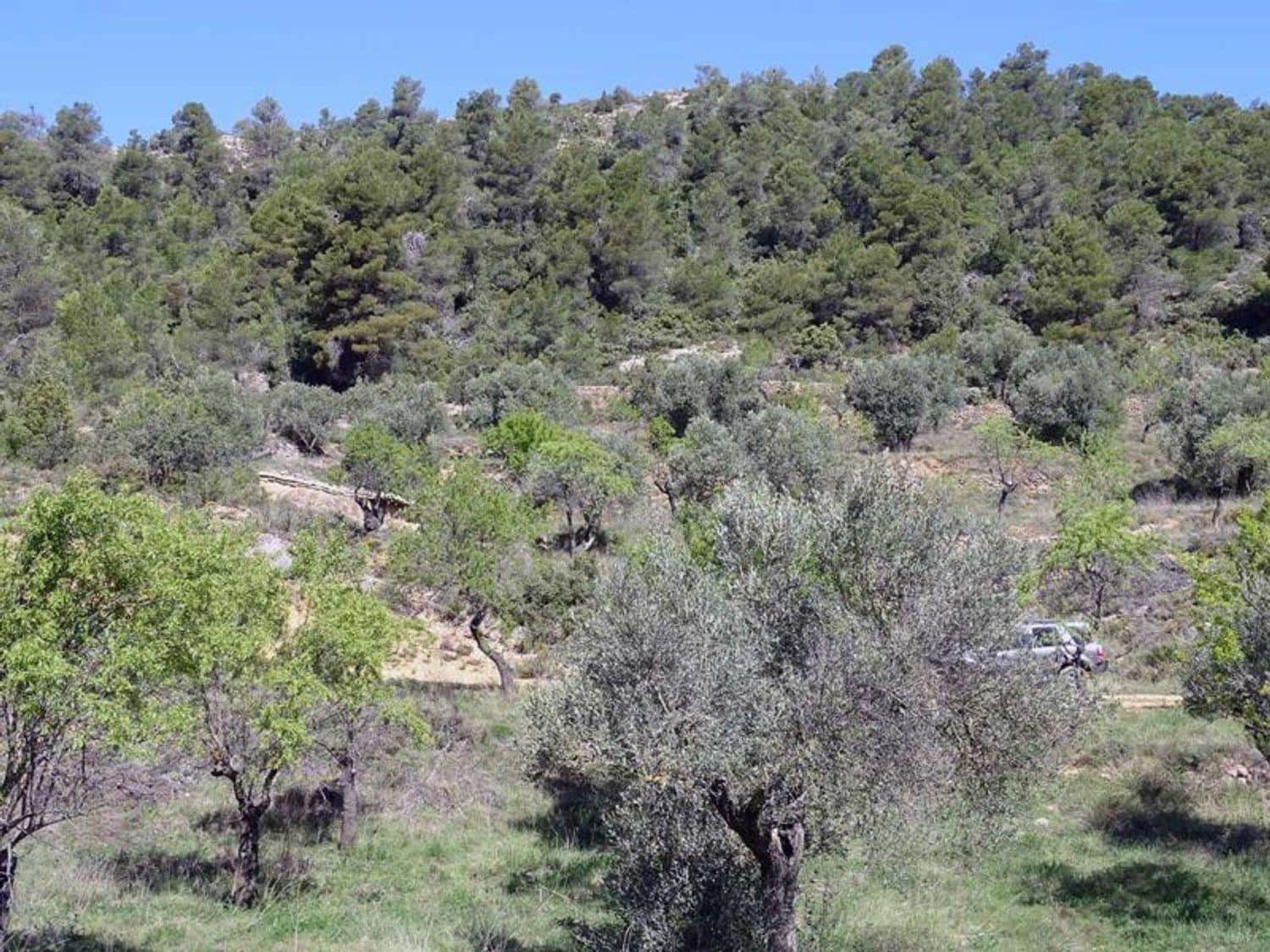 1 bedroom Finca/Country House for sale in Beceite - € 35,000 (Ref: 10124626)