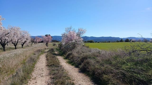 Terreno para Construção para venda em Valderrobres - 39 000 € (Ref: 10124629)