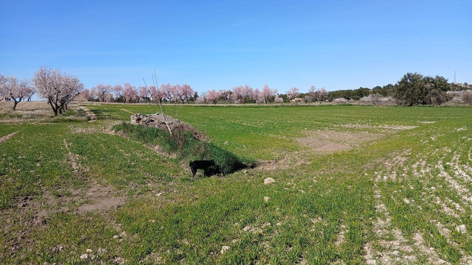Byggegrund til salg i Valderrobres - € 39.000 (Ref: 10124629)