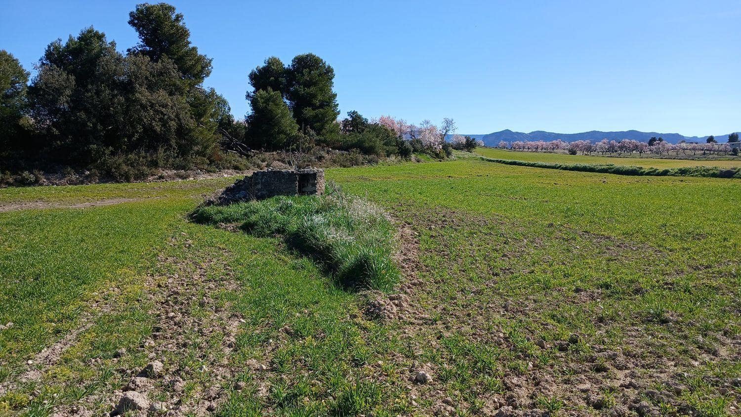 Byggegrund til salg i Valderrobres - € 39.000 (Ref: 10124629)