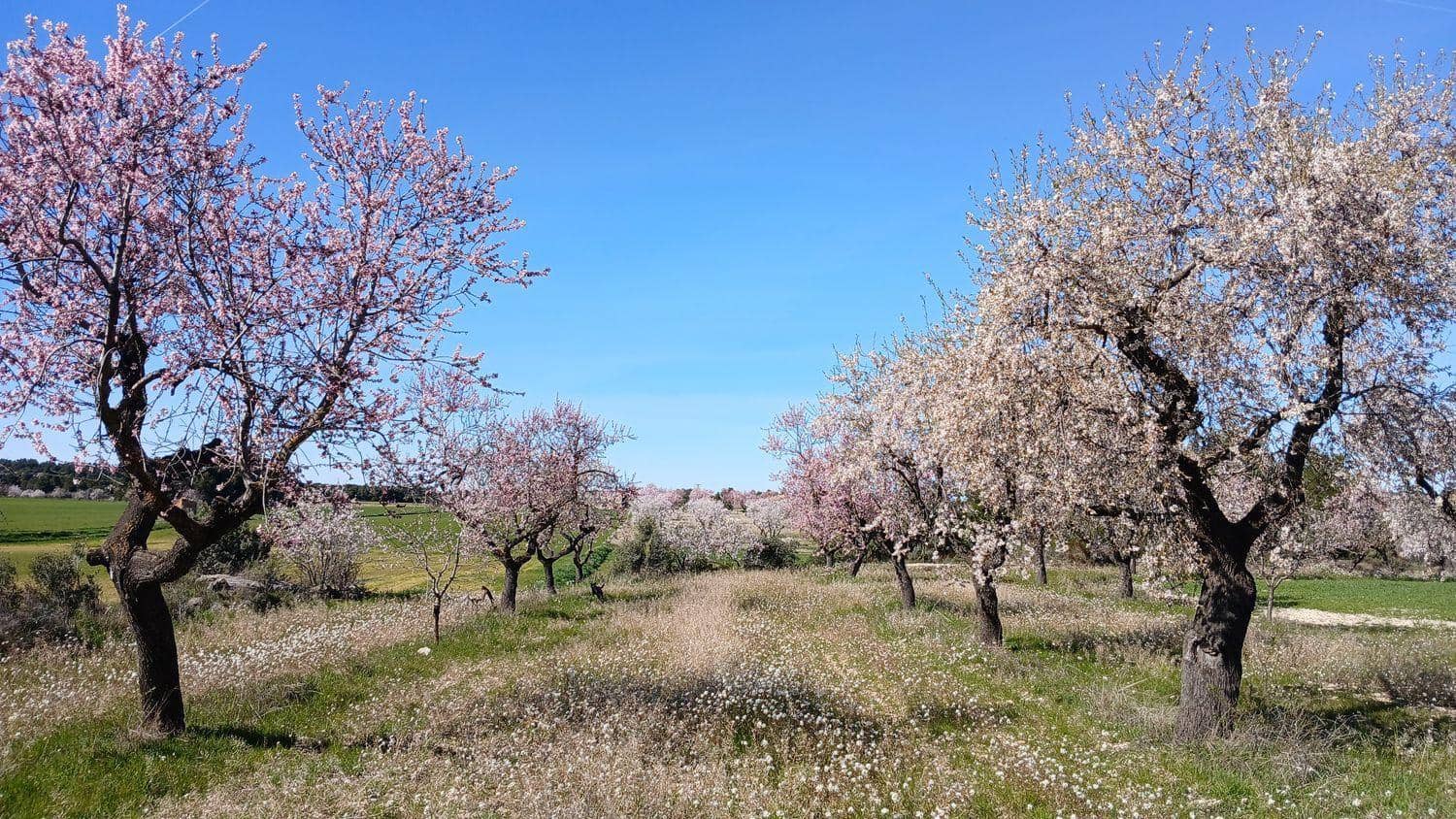 Byggegrund til salg i Valderrobres - € 39.000 (Ref: 10124629)