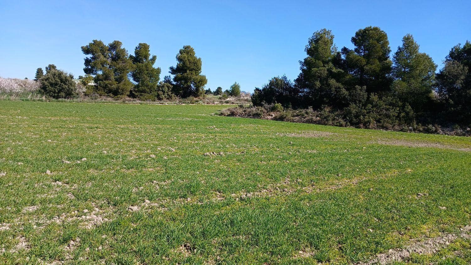 Byggegrund til salg i Valderrobres - € 39.000 (Ref: 10124629)