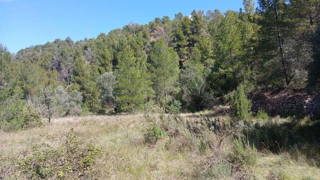 Terreno para Construção para venda em Fórnoles - 16 000 € (Ref: 10124630)