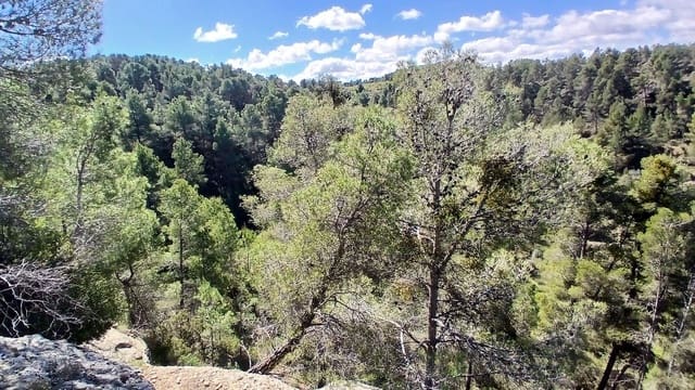 Terreno para Construção para venda em Fórnoles - 16 000 € (Ref: 10124630)