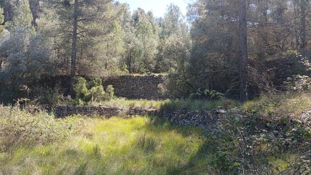 Terreno para Construção para venda em Fórnoles - 16 000 € (Ref: 10124630)