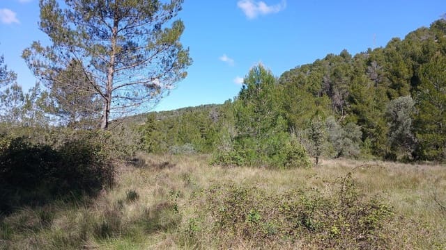 Terreno para Construção para venda em Fórnoles - 16 000 € (Ref: 10124630)