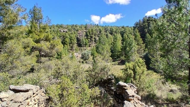 Terreno para Construção para venda em Fórnoles - 16 000 € (Ref: 10124630)