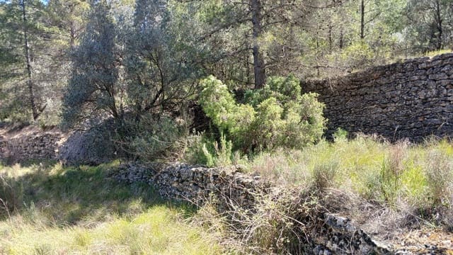 Terreno para Construção para venda em Fórnoles - 16 000 € (Ref: 10124630)