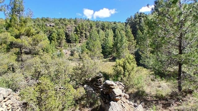 Terreno para Construção para venda em Fórnoles - 16 000 € (Ref: 10124630)