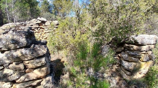Terreno para Construção para venda em Fórnoles - 16 000 € (Ref: 10124630)