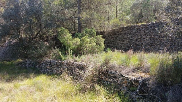 Terreno para Construção para venda em Fórnoles - 16 000 € (Ref: 10124630)