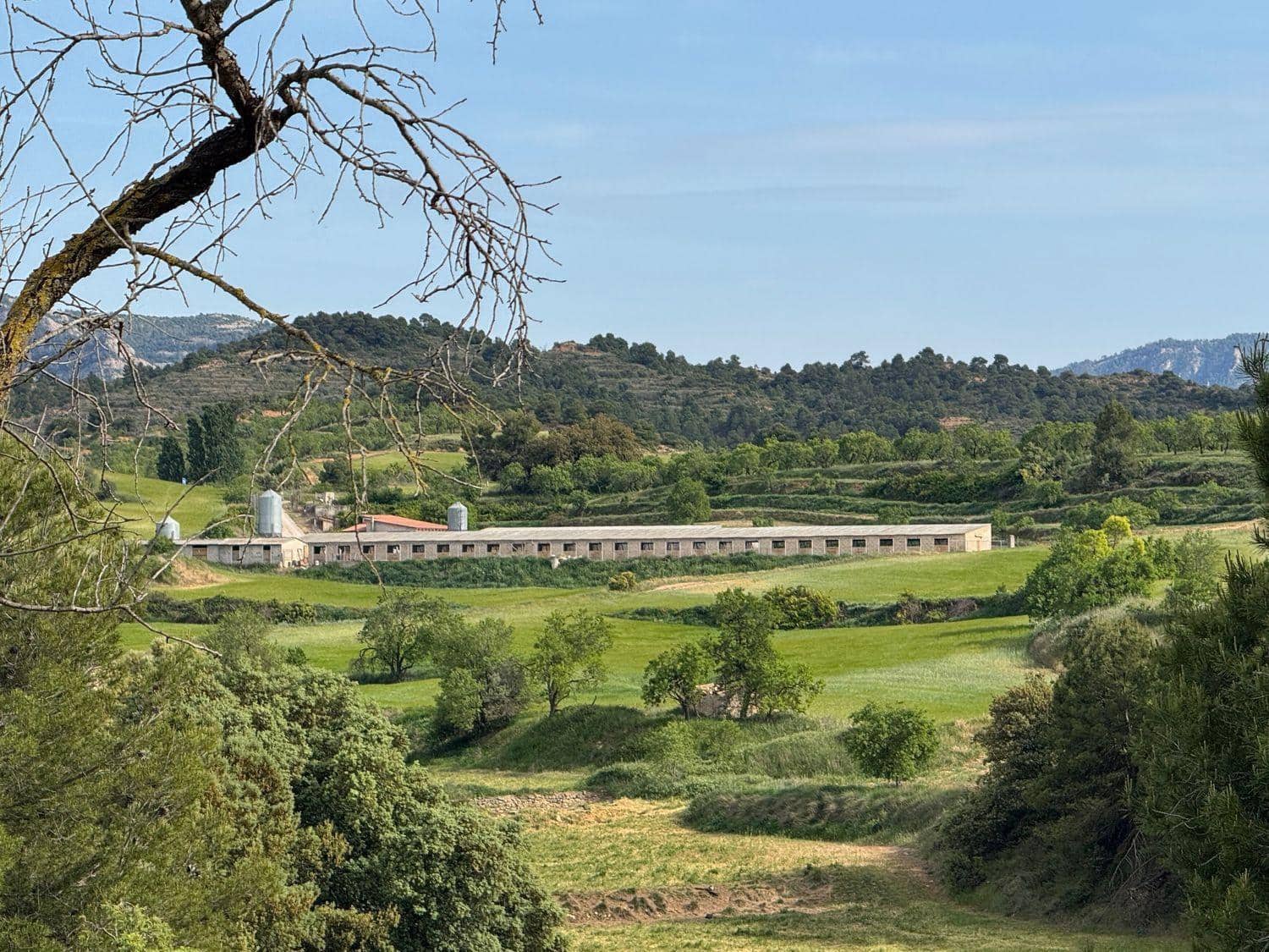 Terreno para Construção para venda em Valderrobres - 370 000 € (Ref: 10124631)