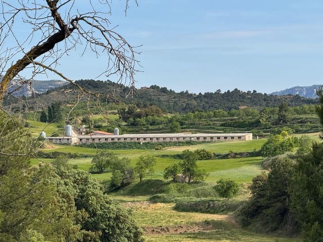 Terreno para Construção para venda em Valderrobres - 370 000 € (Ref: 10124631)