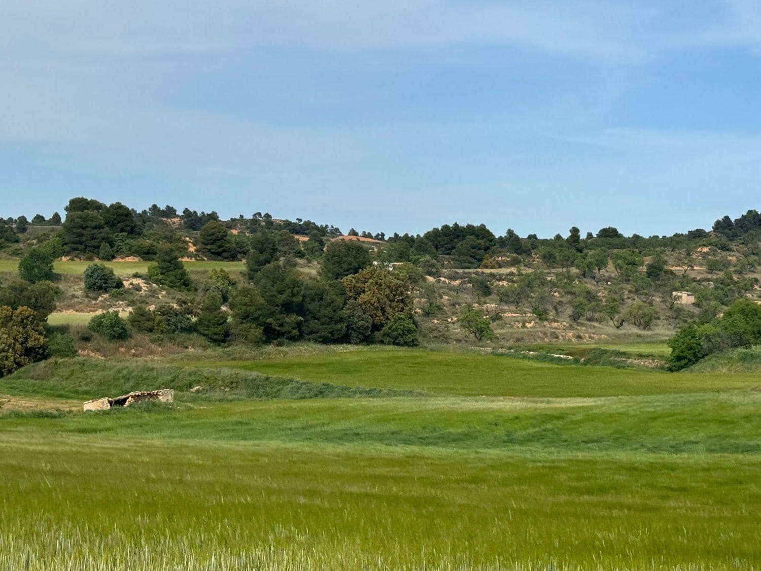 Terreno para Construção para venda em Valderrobres - 370 000 € (Ref: 10124631)