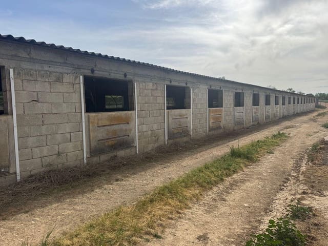 Terreno para Construção para venda em Valderrobres - 370 000 € (Ref: 10124631)