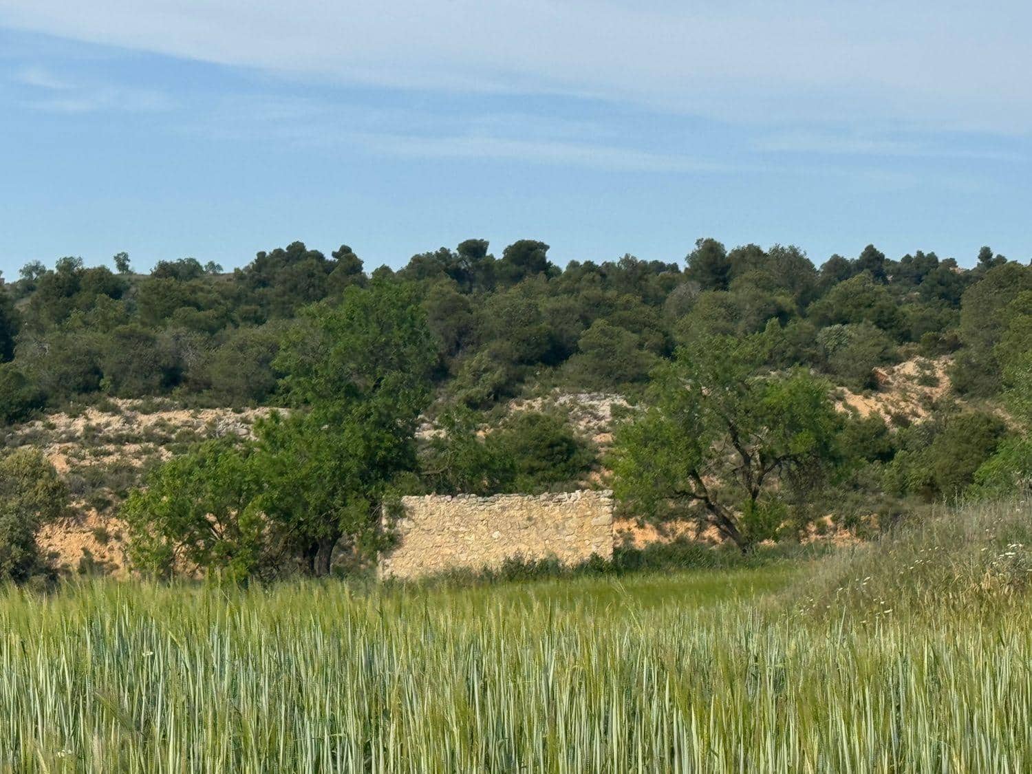 Terreno para Construção para venda em Valderrobres - 370 000 € (Ref: 10124631)