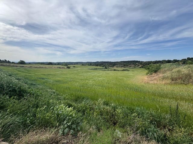 Terreno para Construção para venda em Valderrobres - 370 000 € (Ref: 10124631)