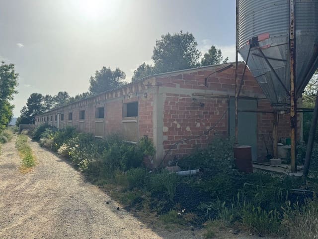 Terreno para Construção para venda em Valderrobres - 105 000 € (Ref: 10124632)