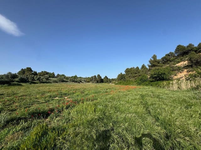 Terreno para Construção para venda em Valderrobres - 105 000 € (Ref: 10124632)