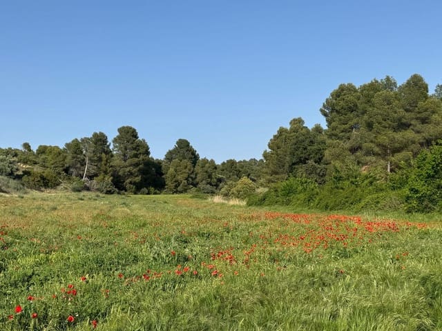 Terreno para Construção para venda em Valderrobres - 105 000 € (Ref: 10124632)