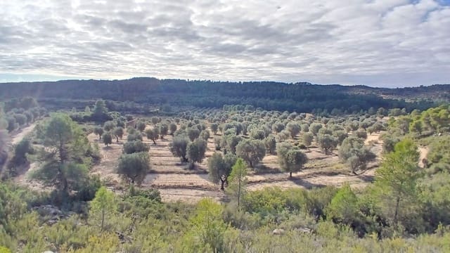 Tontti myytävänä paikassa Calaceite - 30 000 € (Ref: 10124634)