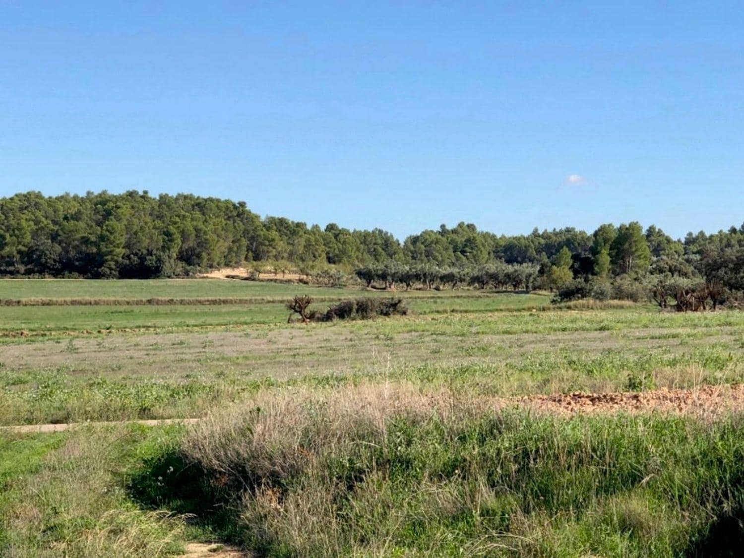 Finca/Country House for sale in Torre del Compte with garage - € 49,000 (Ref: 10124636)