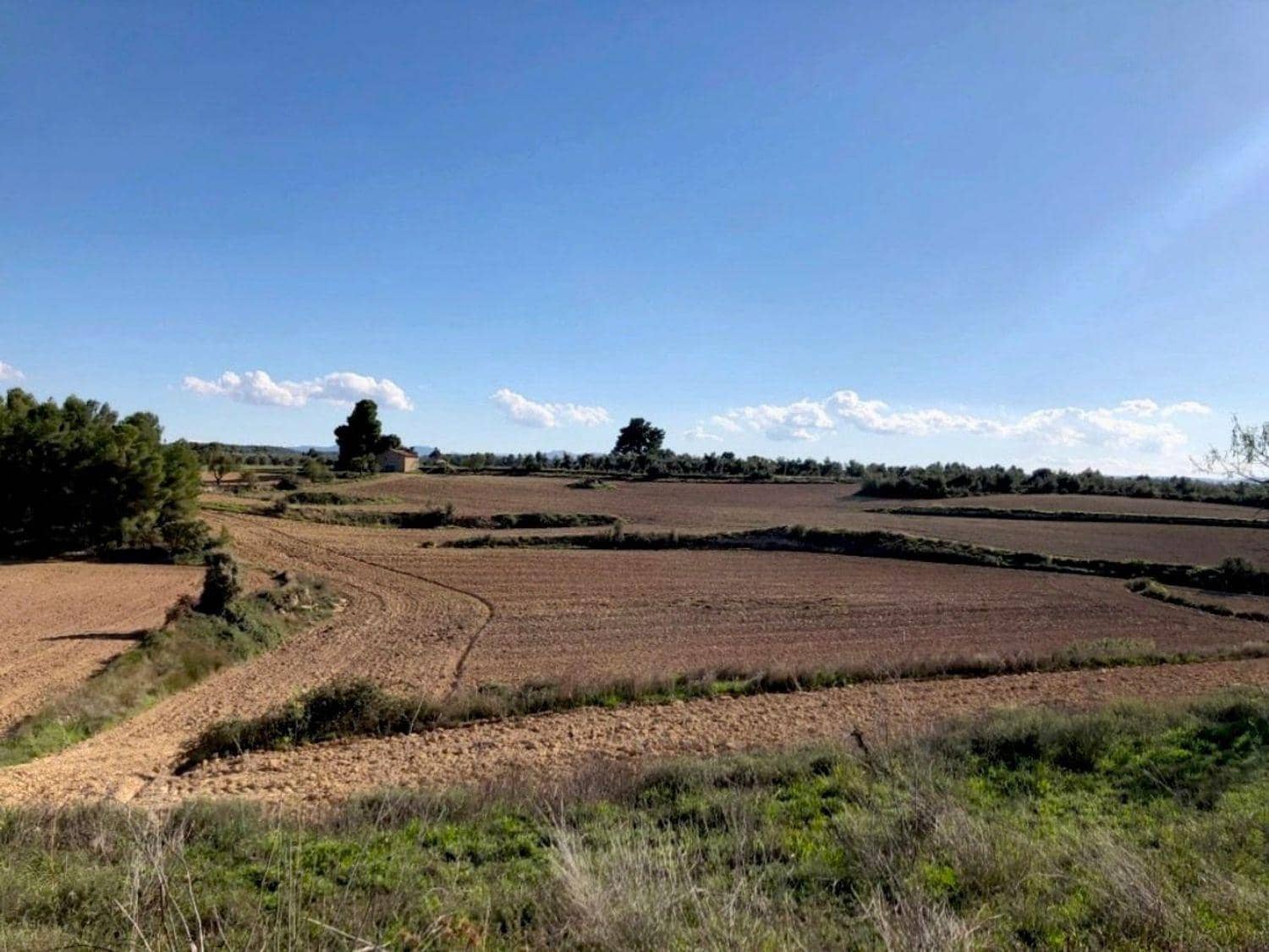 Finca/Country House for sale in Torre del Compte with garage - € 49,000 (Ref: 10124636)