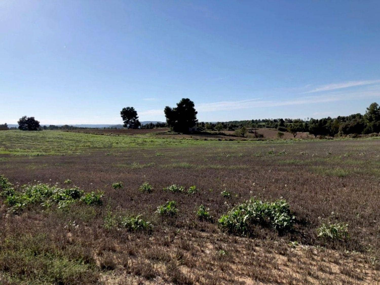Finca/Country House for sale in Torre del Compte with garage - € 49,000 (Ref: 10124636)