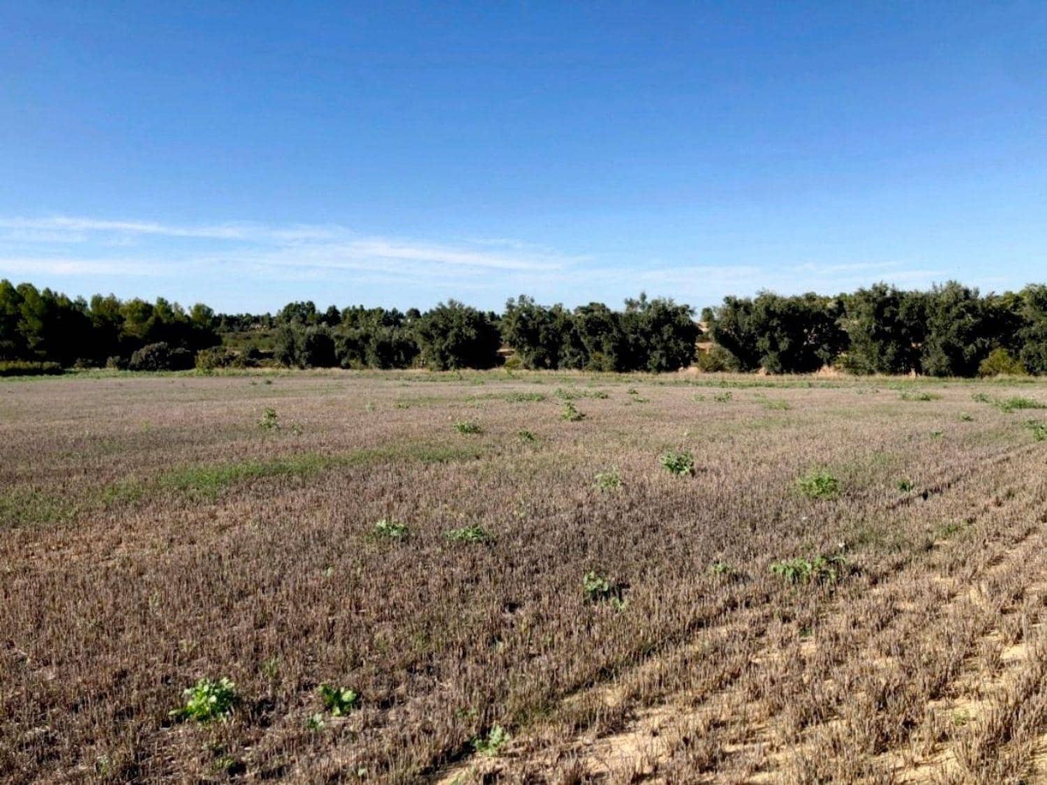 Finca/Country House for sale in Torre del Compte with garage - € 49,000 (Ref: 10124636)
