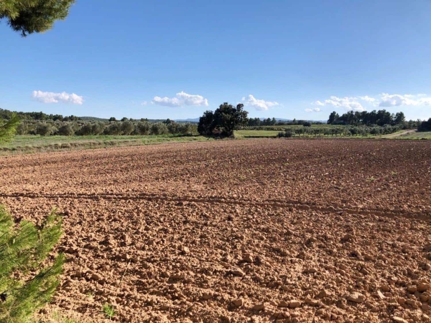 Finca/Country House for sale in Torre del Compte with garage - € 49,000 (Ref: 10124636)