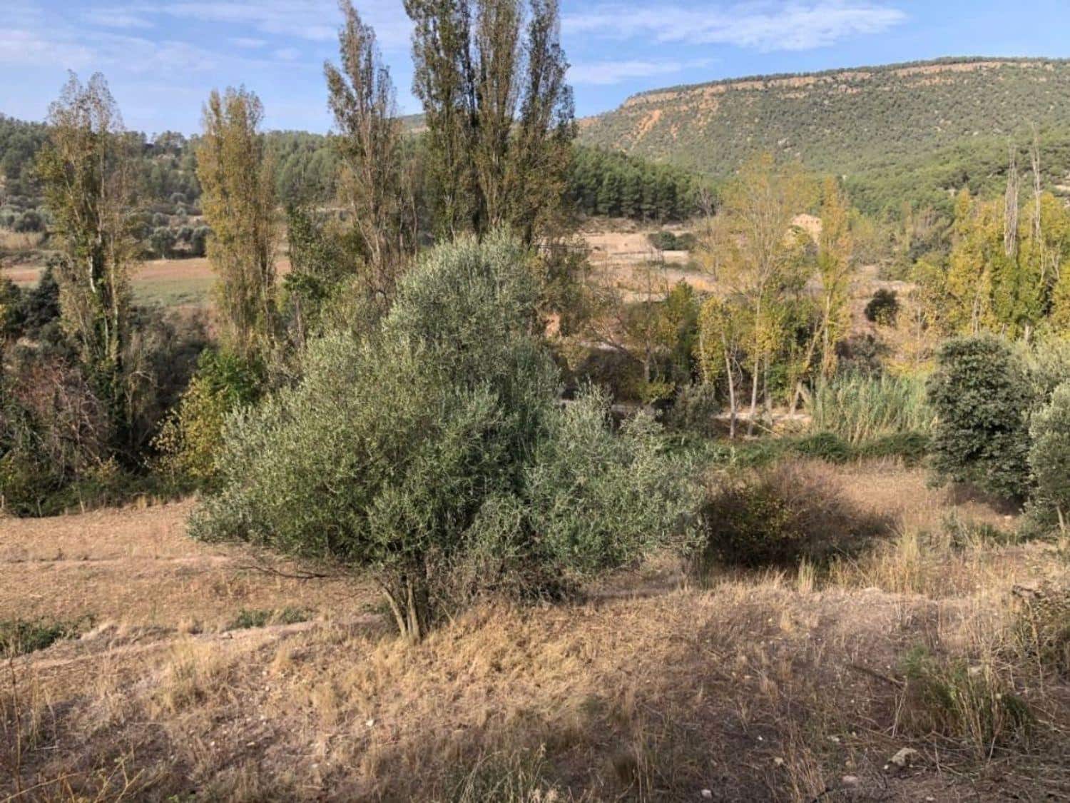 1 bedroom Finca/Country House for sale in Valderrobres - € 60,000 (Ref: 10124637)