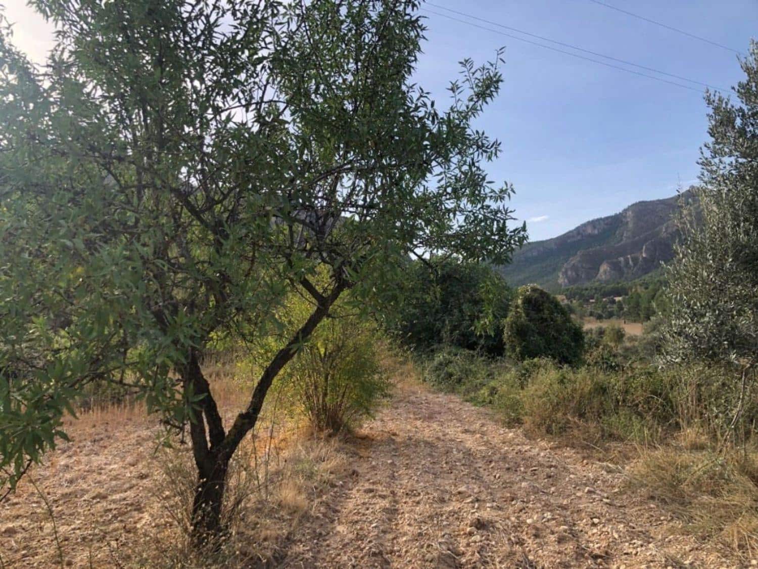 1 bedroom Finca/Country House for sale in Valderrobres - € 60,000 (Ref: 10124637)