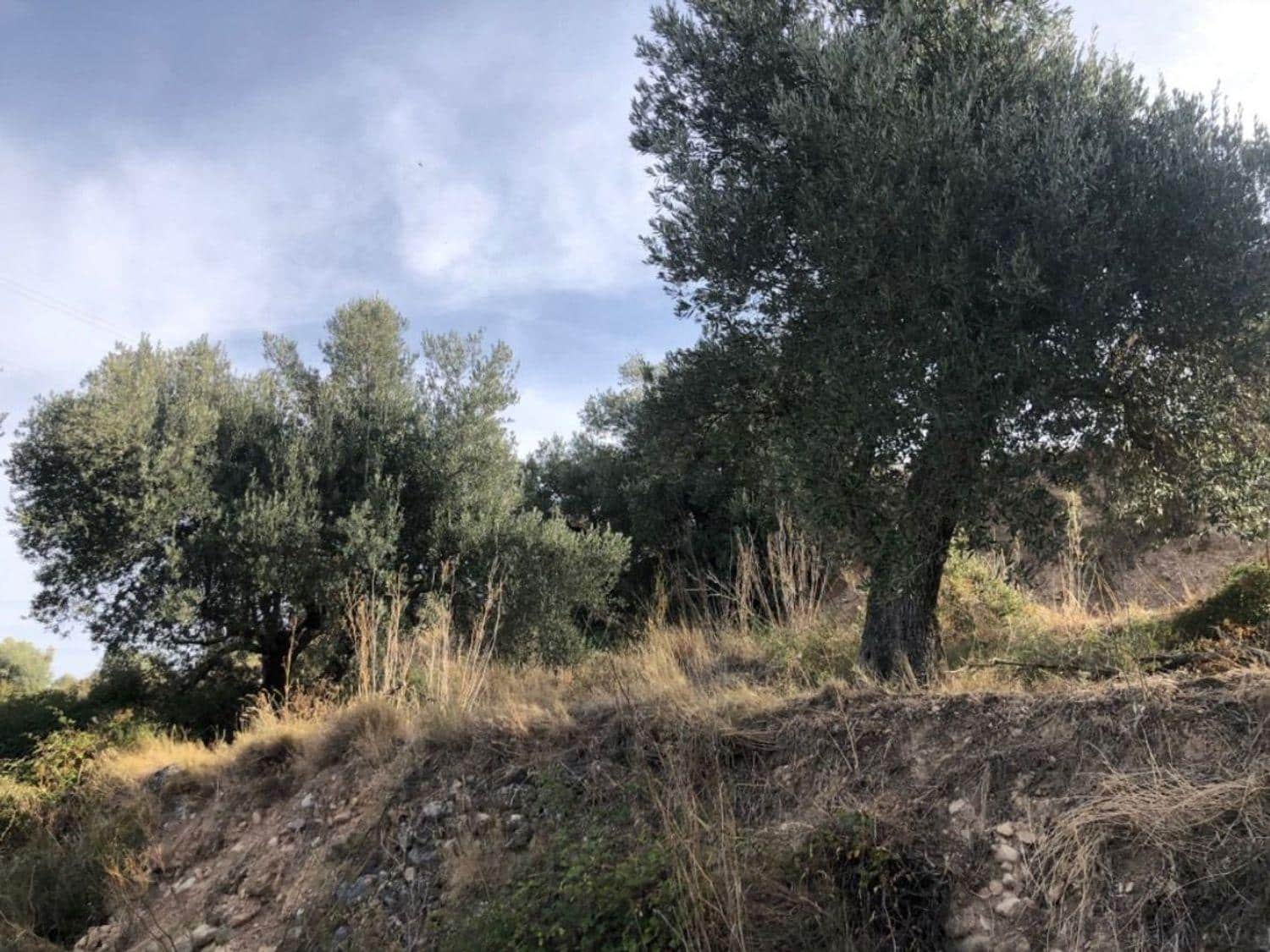 1 bedroom Finca/Country House for sale in Valderrobres - € 60,000 (Ref: 10124637)
