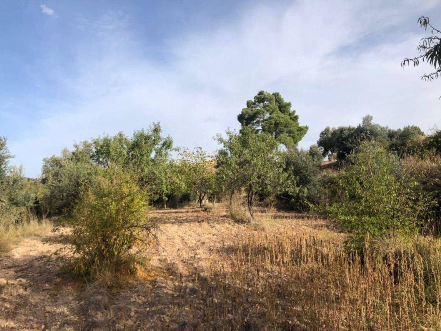 1 bedroom Finca/Country House for sale in Valderrobres - € 60,000 (Ref: 10124637)