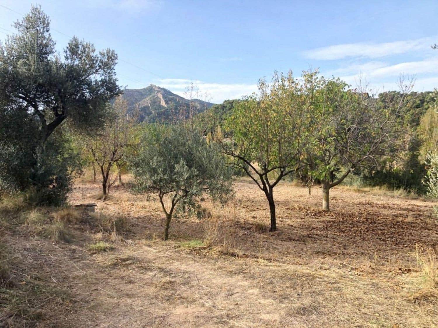 1 bedroom Finca/Country House for sale in Valderrobres - € 60,000 (Ref: 10124637)