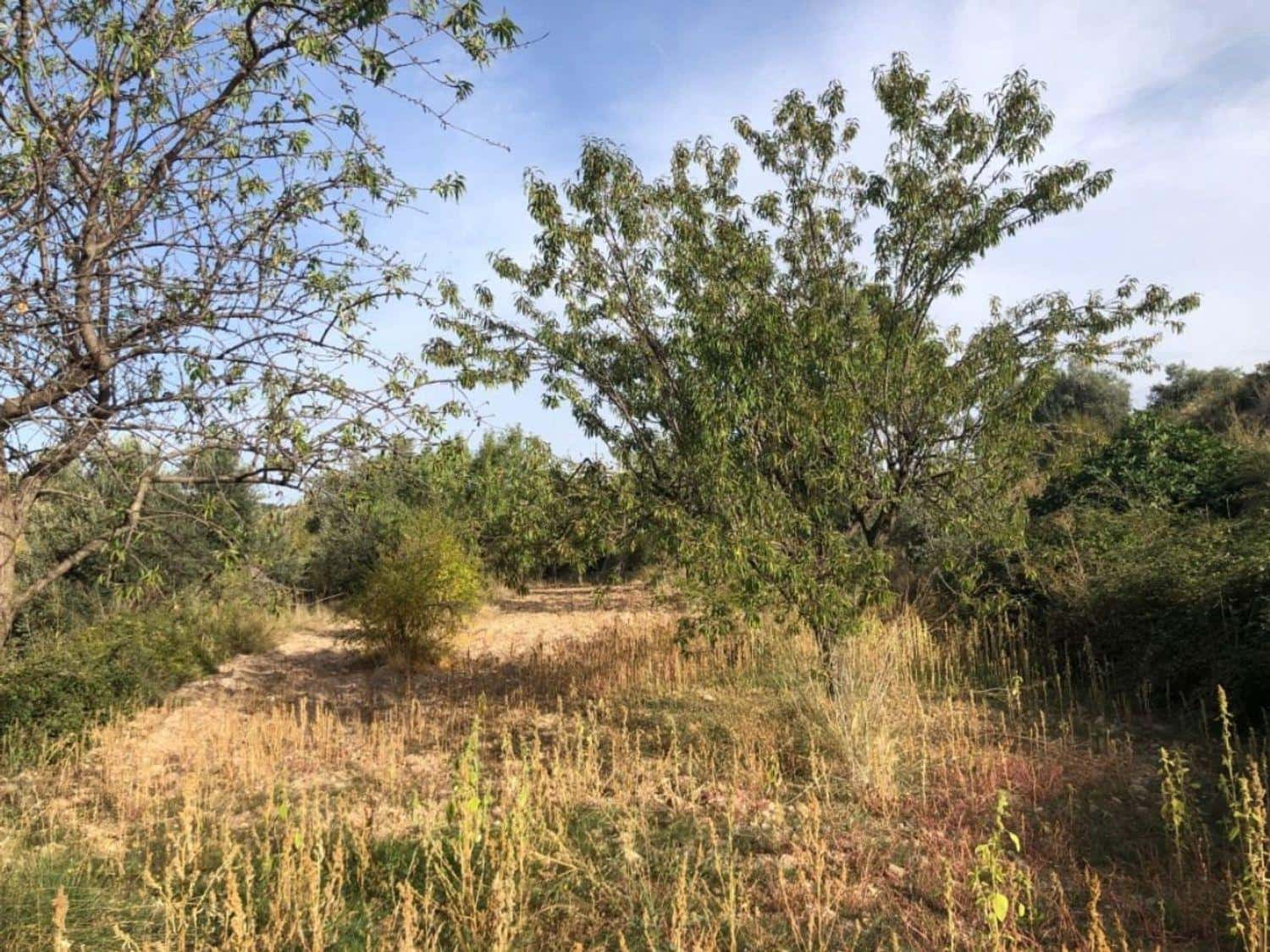 1 bedroom Finca/Country House for sale in Valderrobres - € 60,000 (Ref: 10124637)