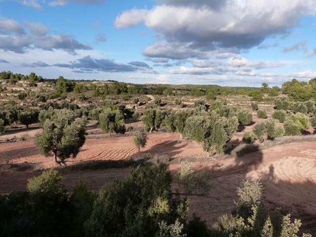 Tontti myytävänä paikassa Valjunquera - 16 000 € (Ref: 10124638)