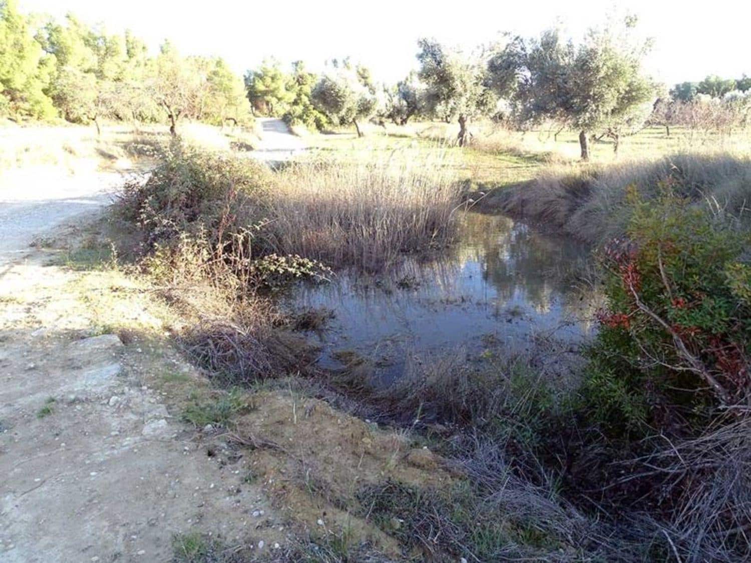 1 chambre Finca/Maison de Campagne à vendre à Torre del Compte - 70 000 € (Ref: 10124640)